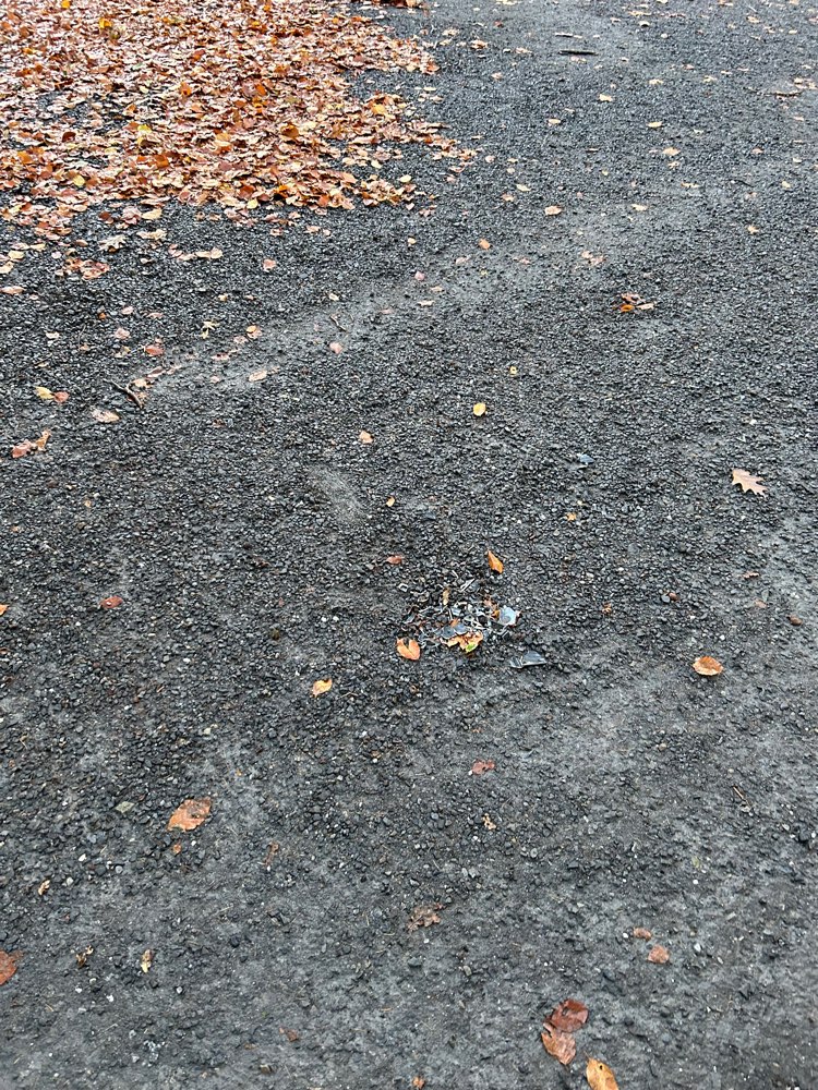 Giftköder-Scherben-Profilbild