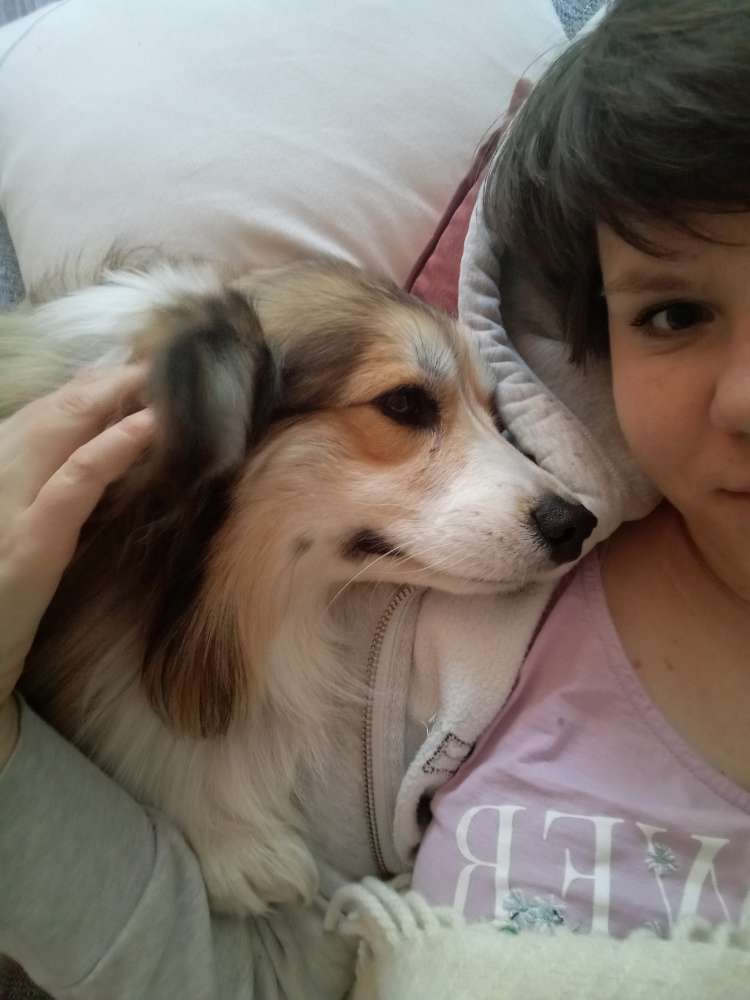 Hundetreffen-Spielkumpel-Profilbild