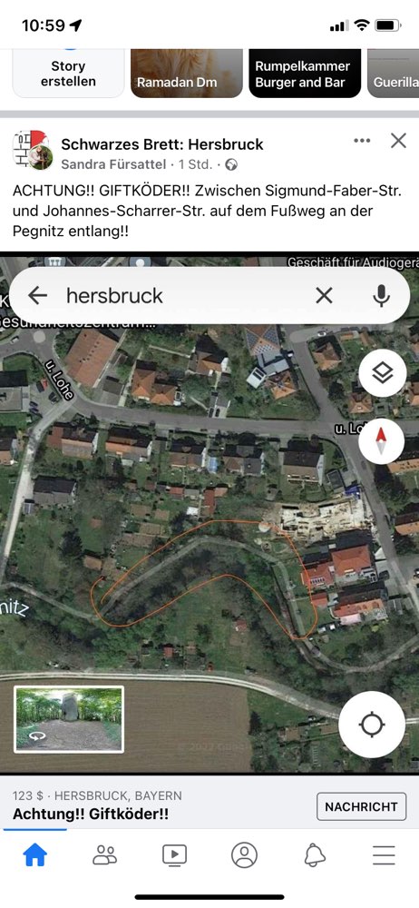 Giftköder-Giftköder-Profilbild