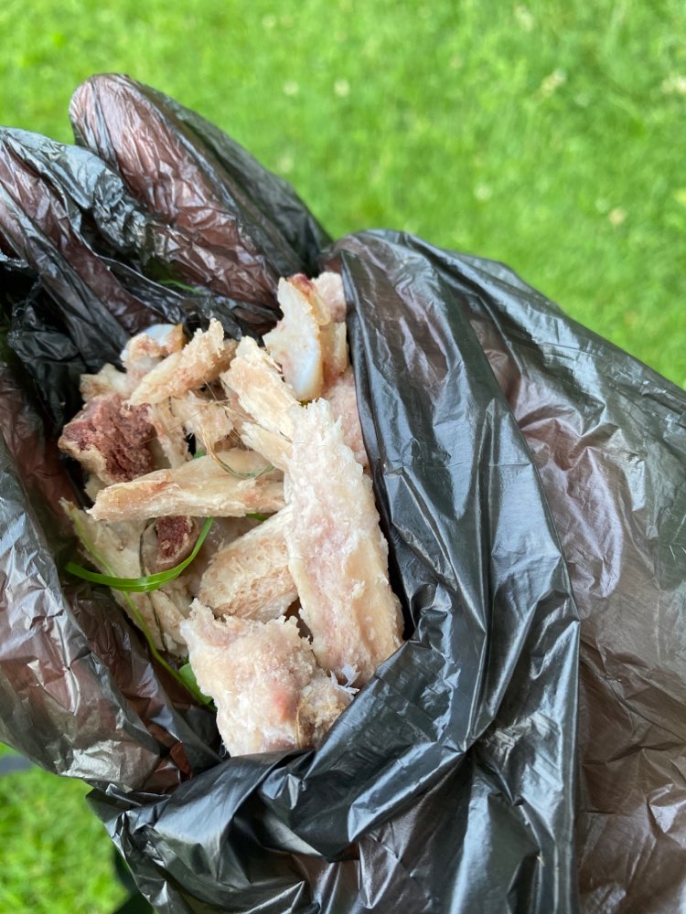 Giftköder-Knochenstücke-Profilbild