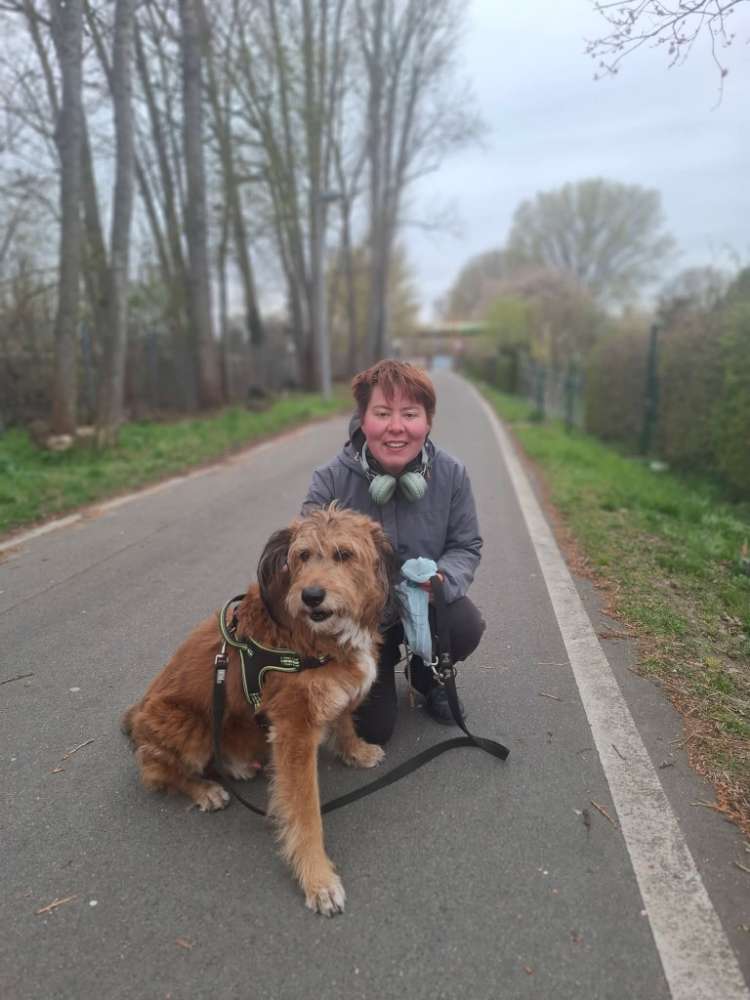 Hundetreffen-Hundetreff grunewald ❤️🐕-Profilbild