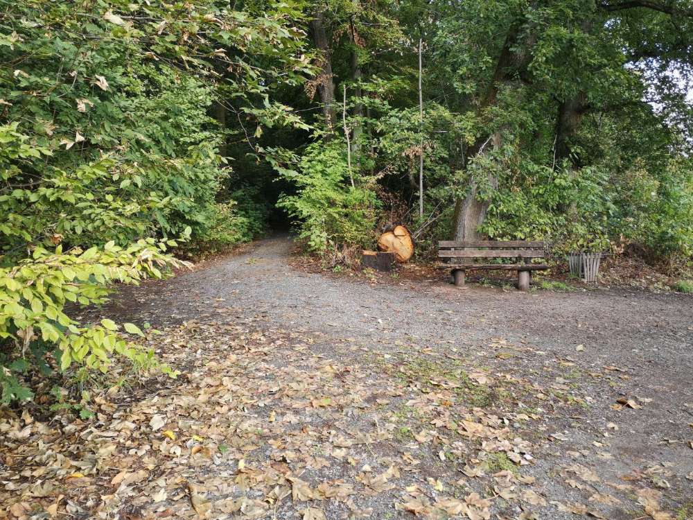 Giftköder-Ausgelegtes Fleisch mit Knochen-Profilbild