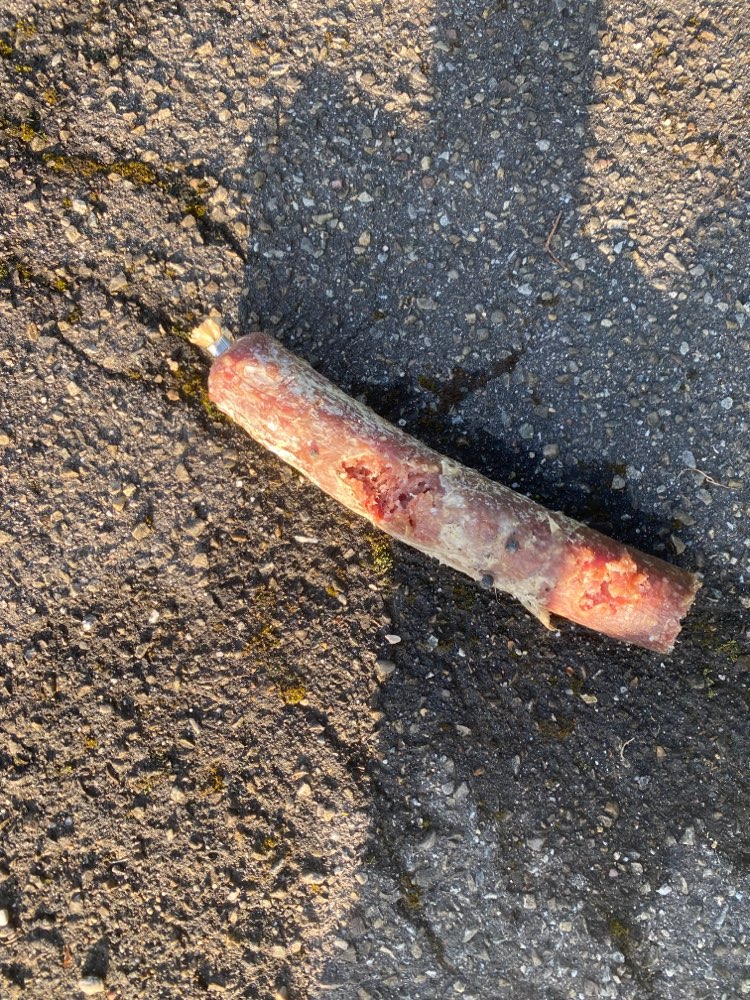 Giftköder-Salami ausgeteilt-Profilbild
