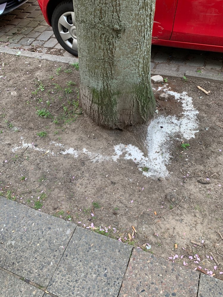 Giftköder-Weißes Pulver großflächig gestreut-Profilbild