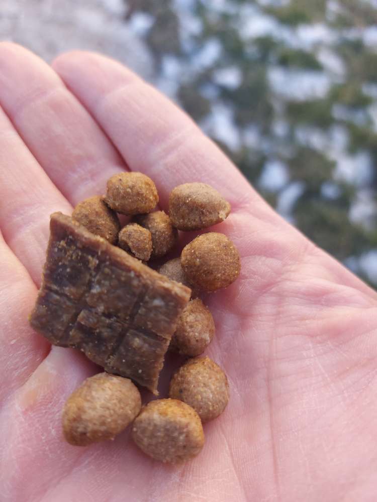 Giftköder-Leckerlis Verstreut-Profilbild