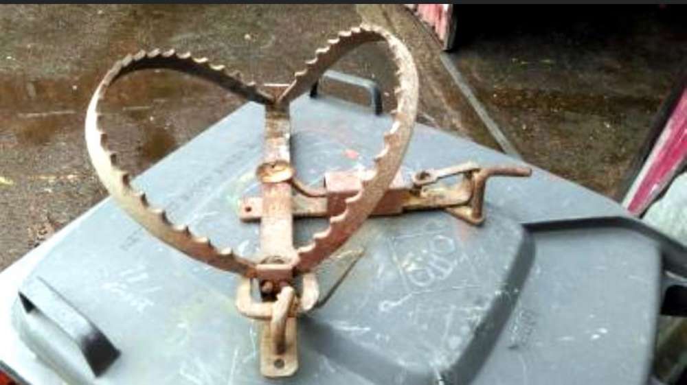 Giftköder-Schlagfallen-Profilbild