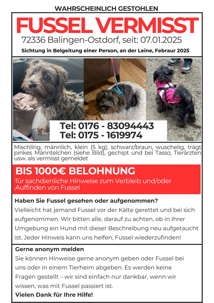 Suchmeldung-Fussel-Profilbild