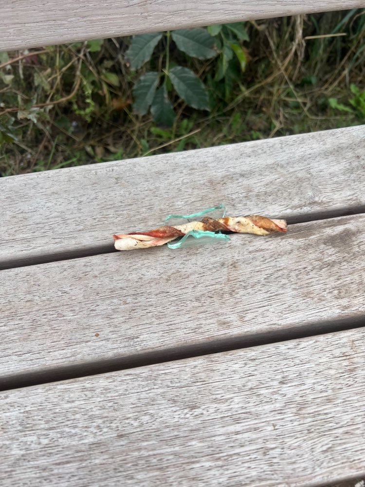 Giftköder-Kaustange mit Glasscherbe-Profilbild