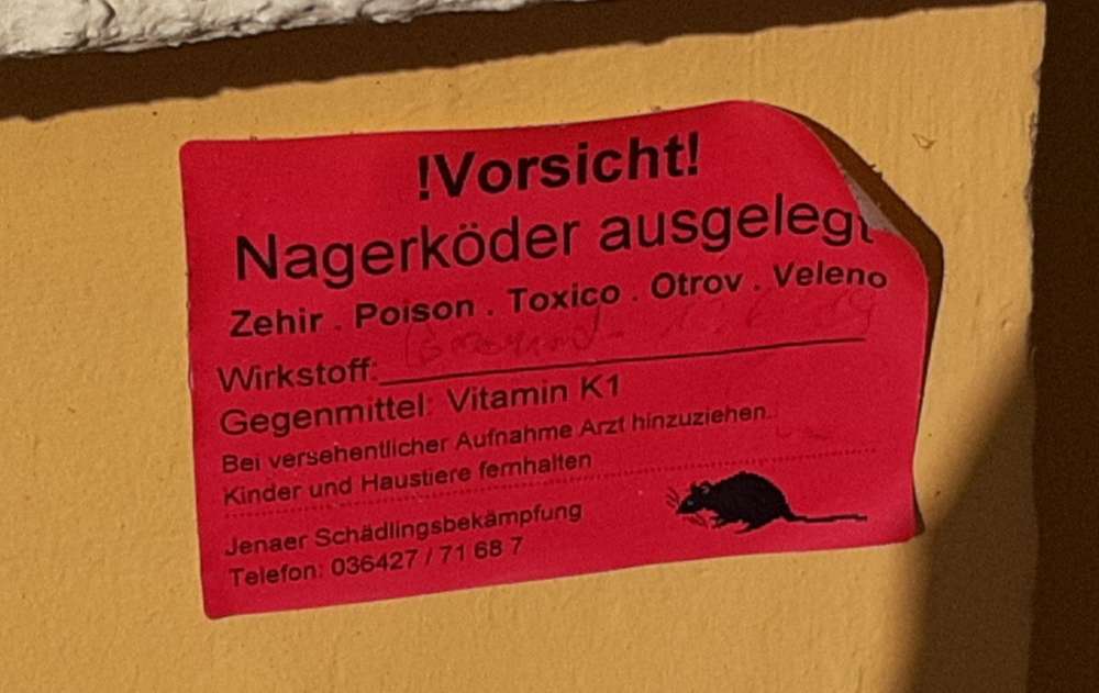 Giftköder-Rattengift-Profilbild