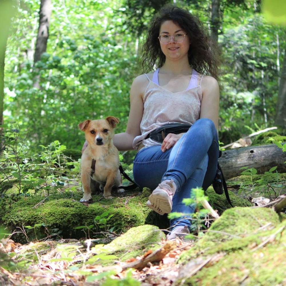 Hundetreffen-Gassifreunde gesucht🐕☀️-Profilbild