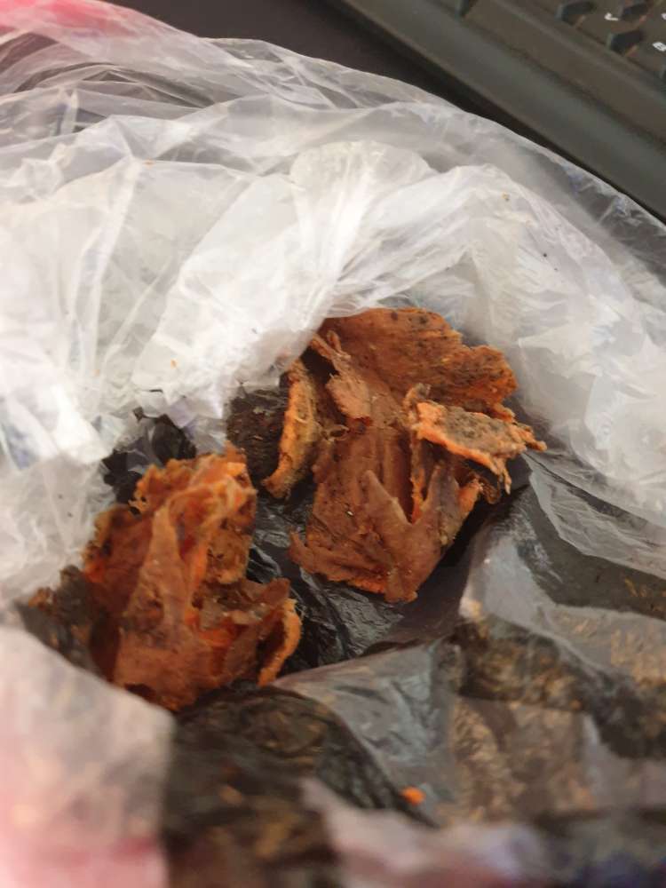 Giftköder-Fleisch mit oranger schicht-Profilbild