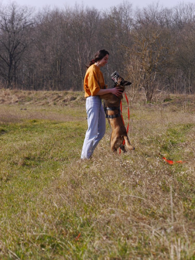 Hundetreffen-🐾 Social Walk Gruppe gesucht-Profilbild