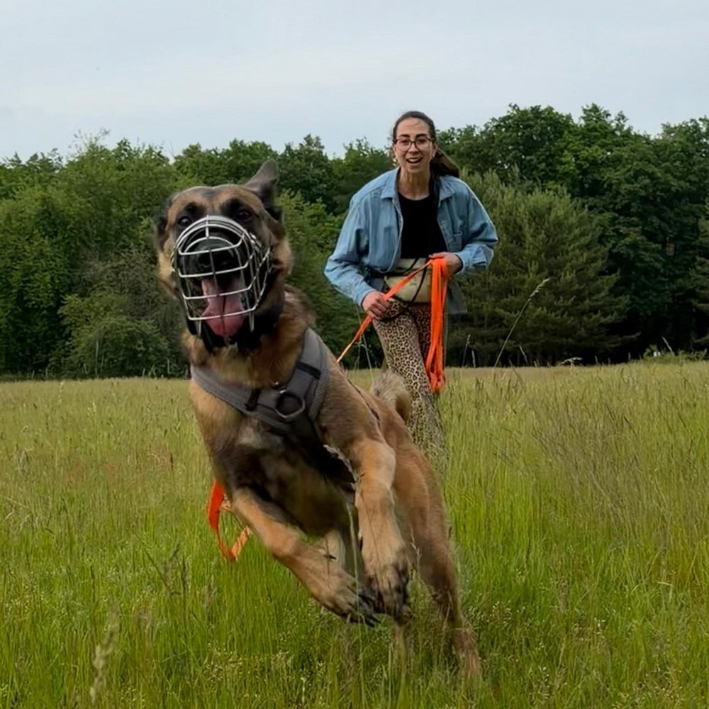 Hundetreffen-🐾 Gemeinsame Spaziergänge-Profilbild