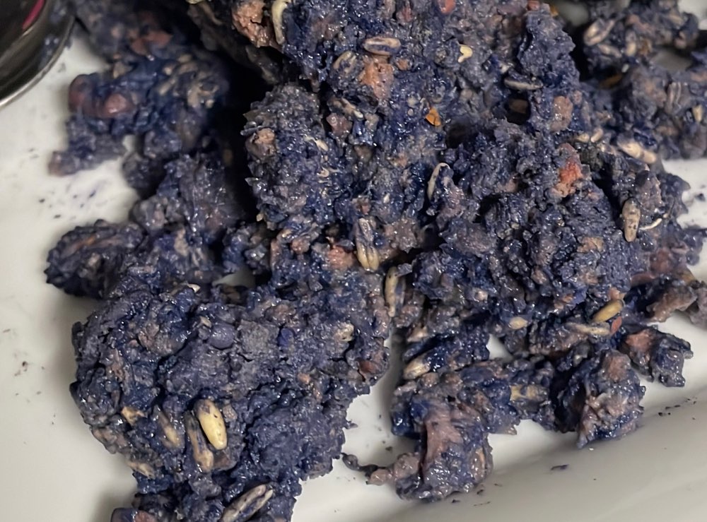 Giftköder-Schneckengift-Profilbild