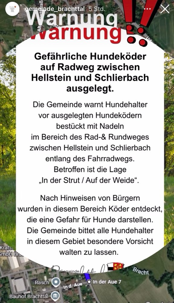 Giftköder-Köder mit Nadeln-Profilbild