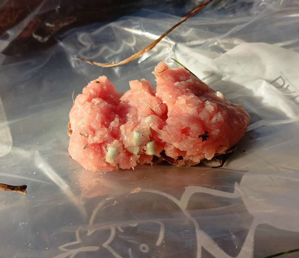 Giftköder-Giftköder-Profilbild