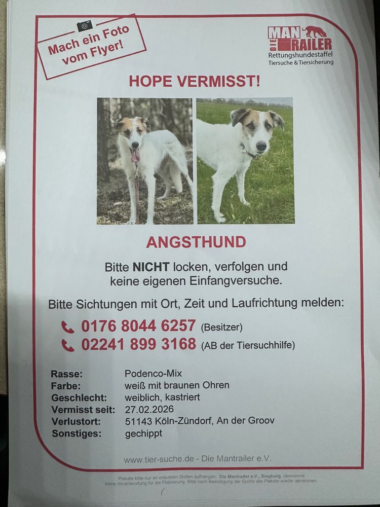 Suchmeldung-Hope-Profilbild