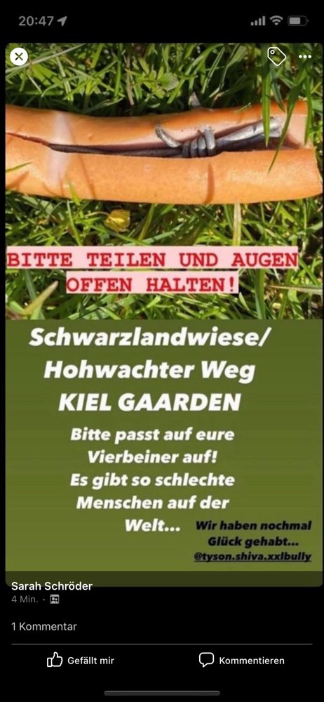 Giftköder-Wurst mit Draht!-Profilbild