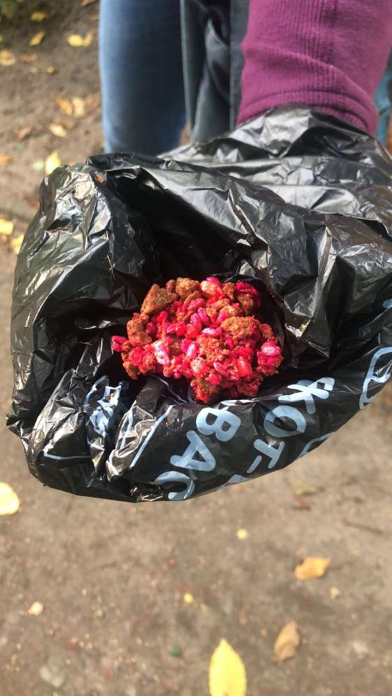 Giftköder-Giftköder-Profilbild