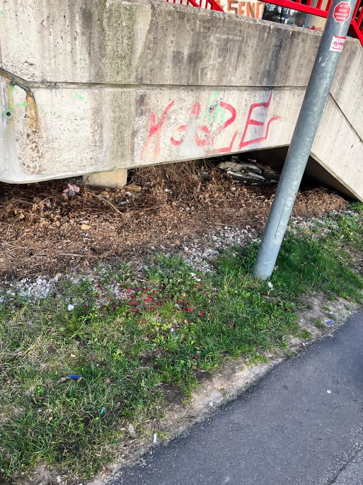 Giftköder-Giftköder Rattengift-Profilbild