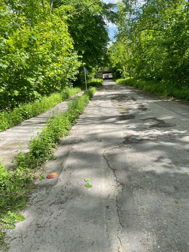 Giftköder-Verdächtiger offener Behälter-Profilbild