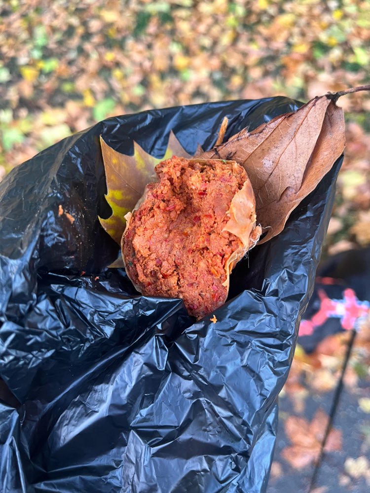 Giftköder-Möglicher Giftköder-Profilbild