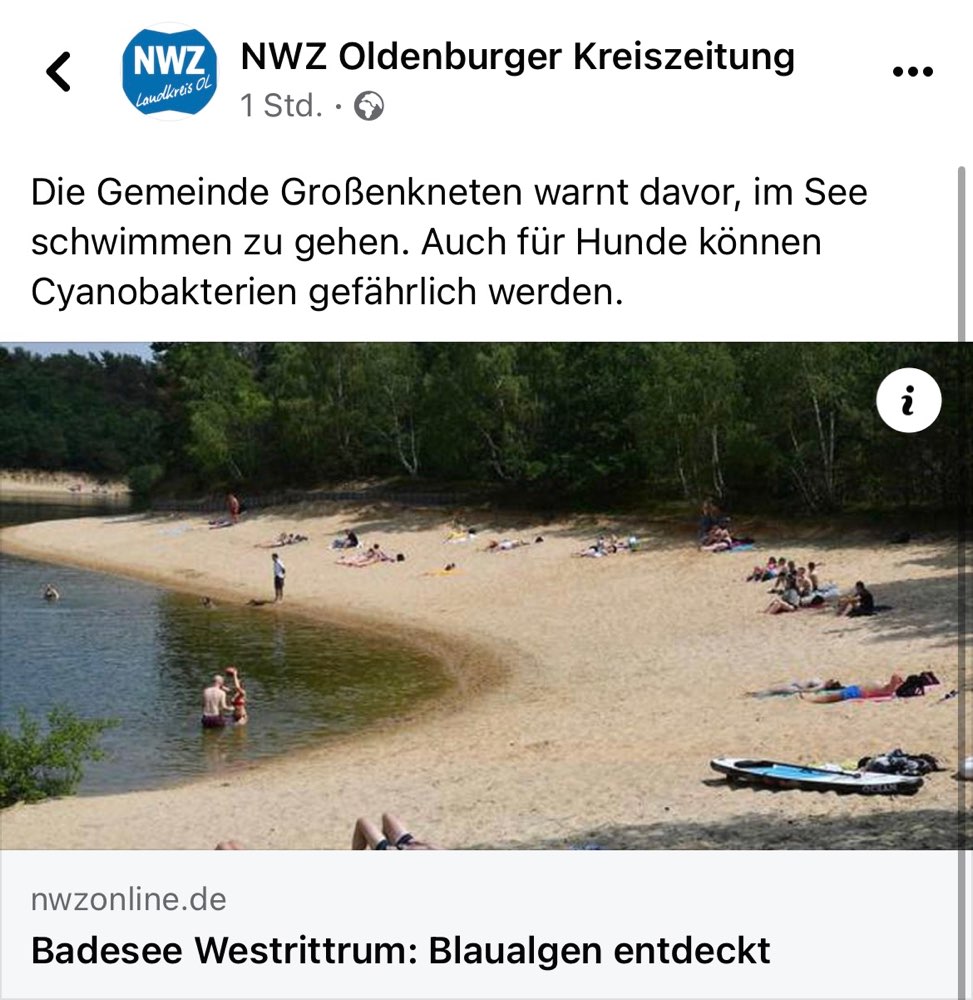 Giftköder-Blaualgen Badesee Westrittrum-Profilbild
