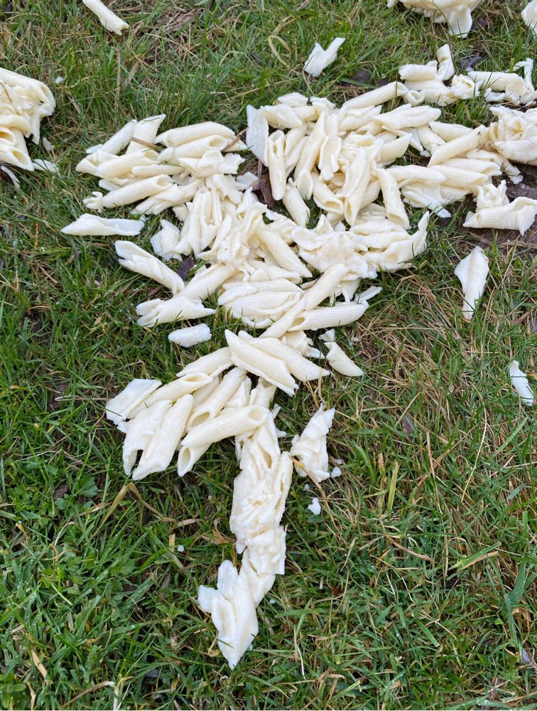 Giftköder-Gekochte Nudeln-Profilbild