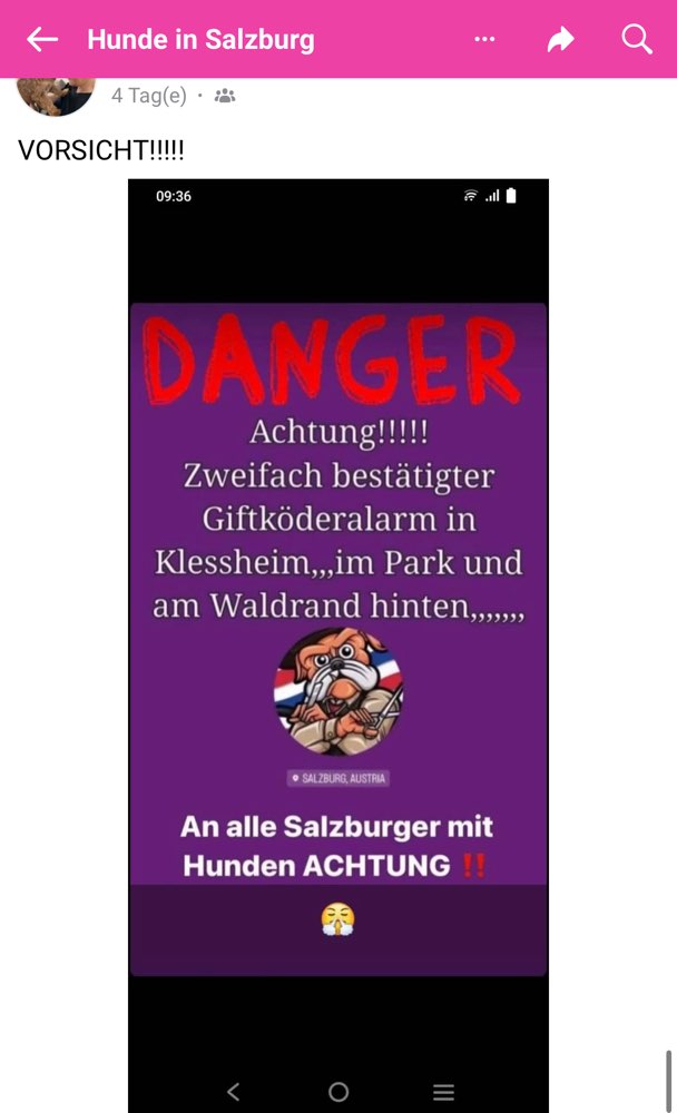 Giftköder-Vor vier Tagen Giftköder in Kleßheim-Profilbild