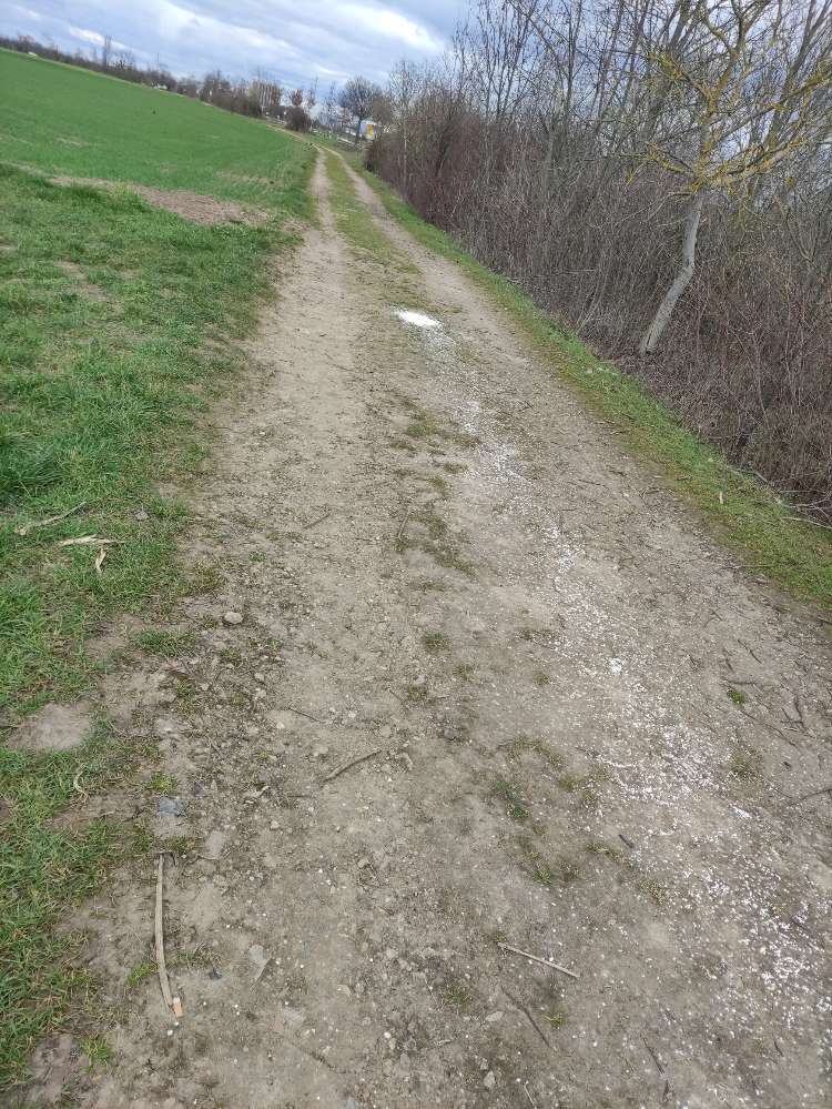 Giftköder-Weißes Zeug-Profilbild