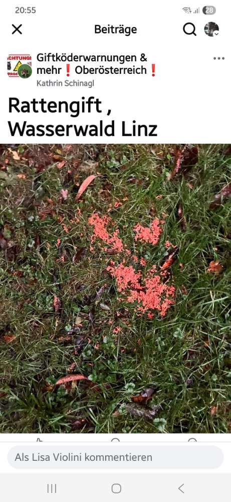 Giftköder-Giftköder Wasserwald-Profilbild