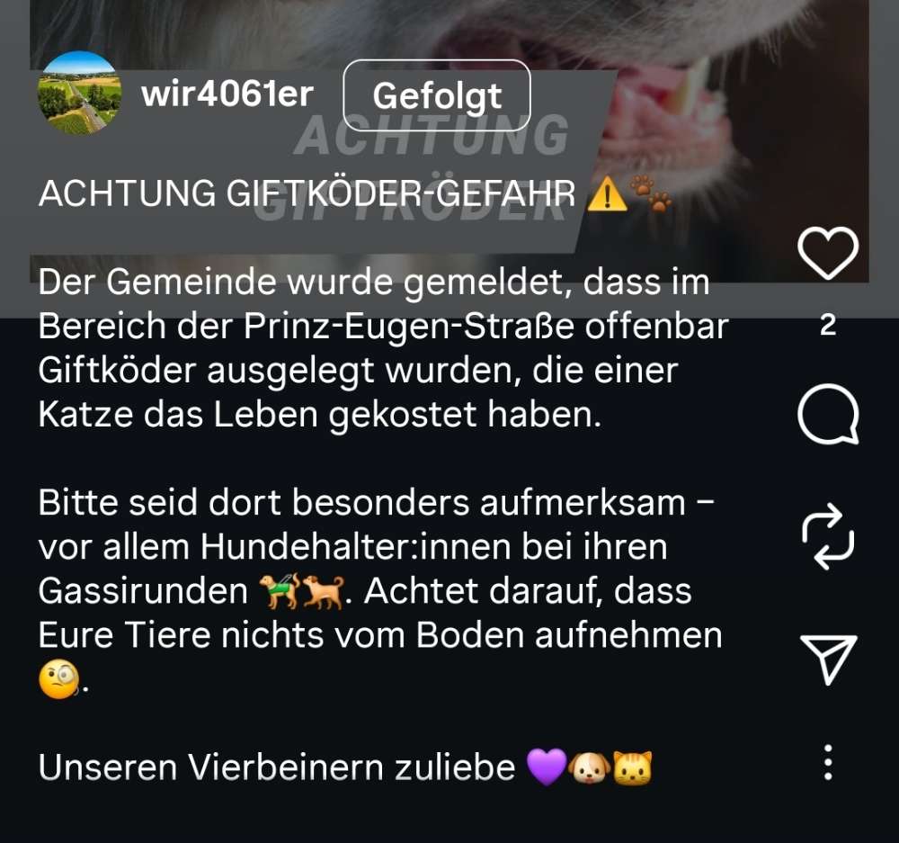 Giftköder-Giftköder-Profilbild