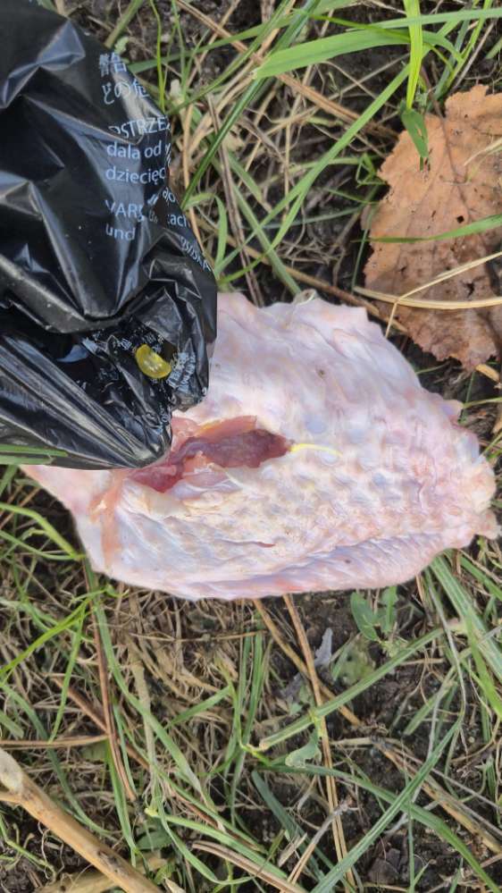 Giftköder-Giftköder-Profilbild