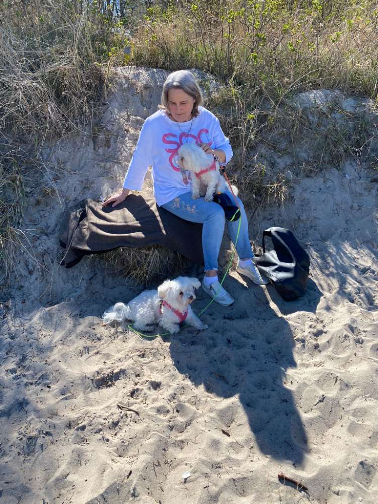 Hundetreffen-Suche kleine Hundefreunde-Profilbild