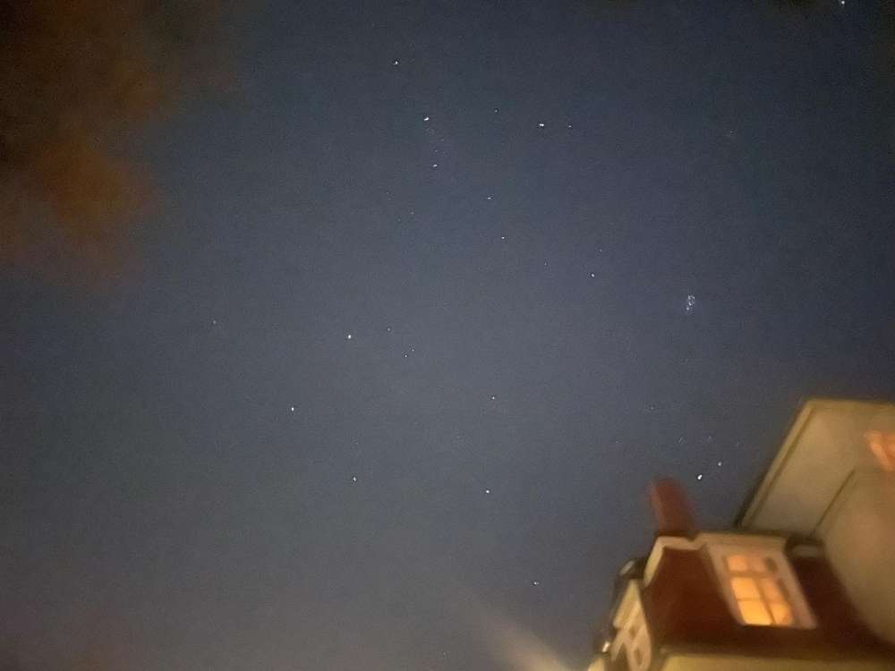 Hundetreffen-SocialWalk-Profilbild