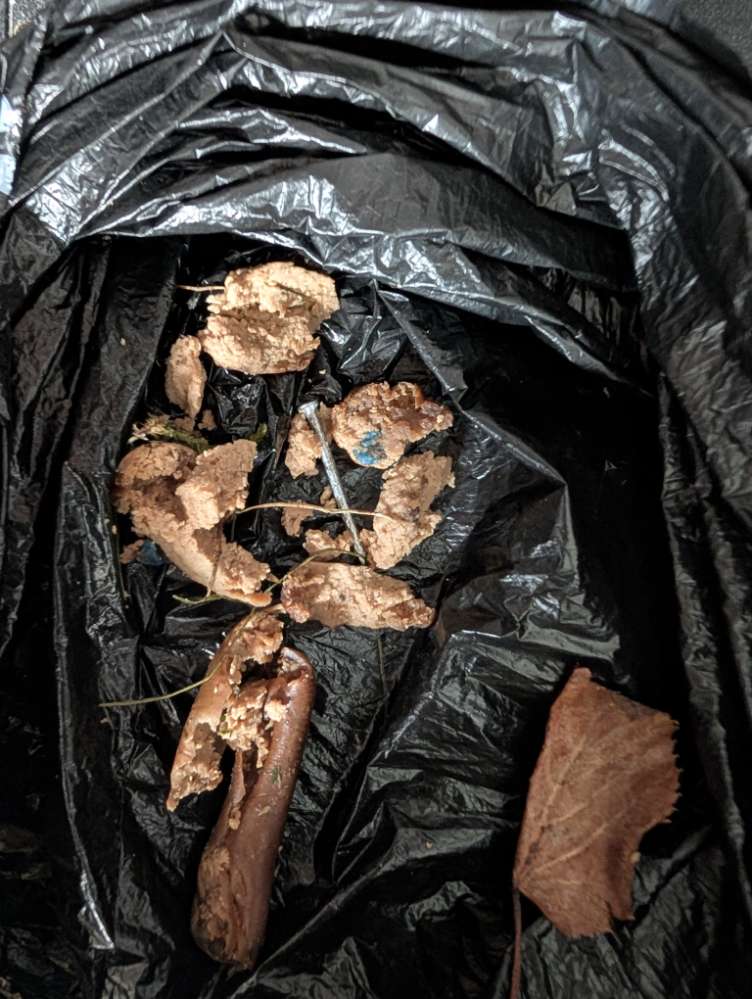 Giftköder-Giftkoder-Profilbild