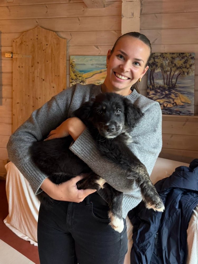 Hundetreffen-Hundekontakte für Welpen Lokstedt-Profilbild