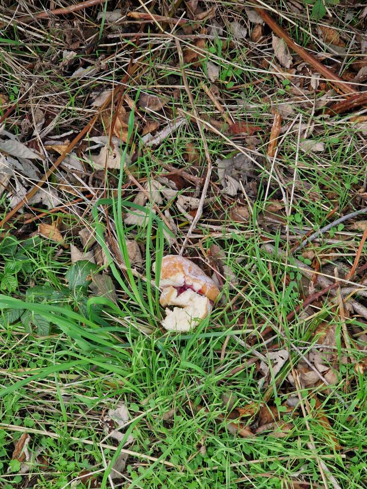 Giftköder-Brötchen, Gebäck-Profilbild