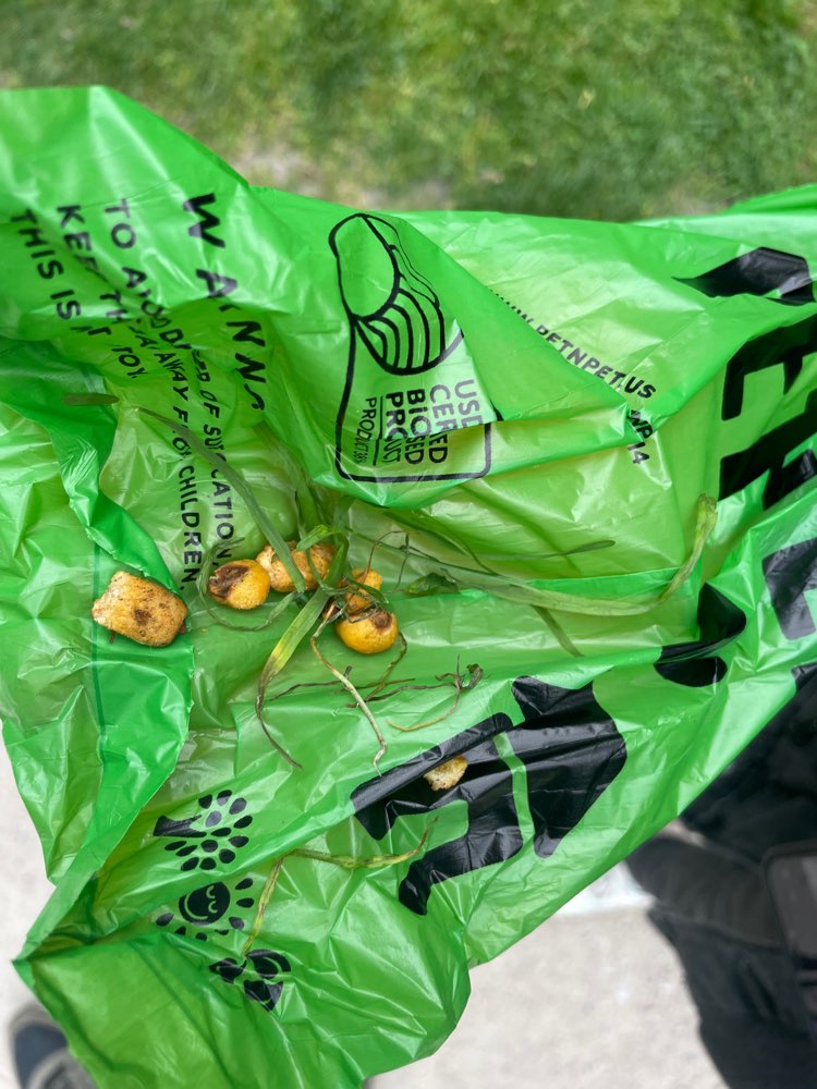 Giftköder-Wieder Möglicher Giftköder-Profilbild