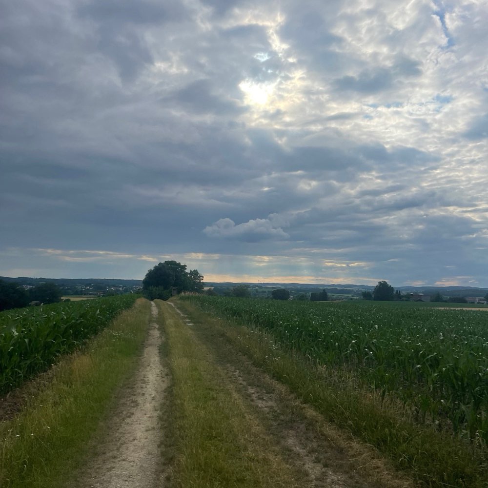 Hundetreffen-Hunde treffen in Unterwittelsbach-Profilbild