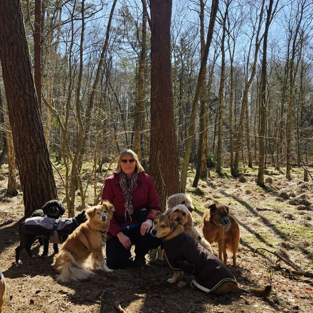 Hundetreffen-Gassi-Service-Profilbild