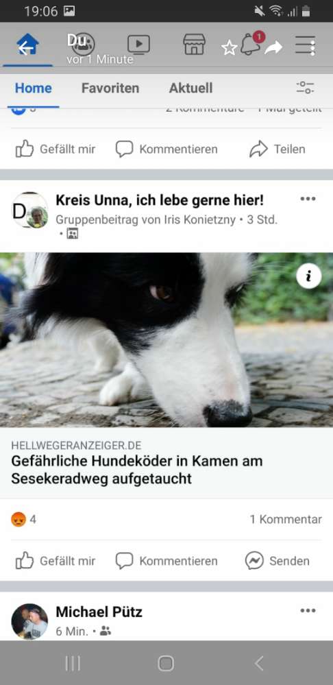 Giftköder-Giftköder-Profilbild