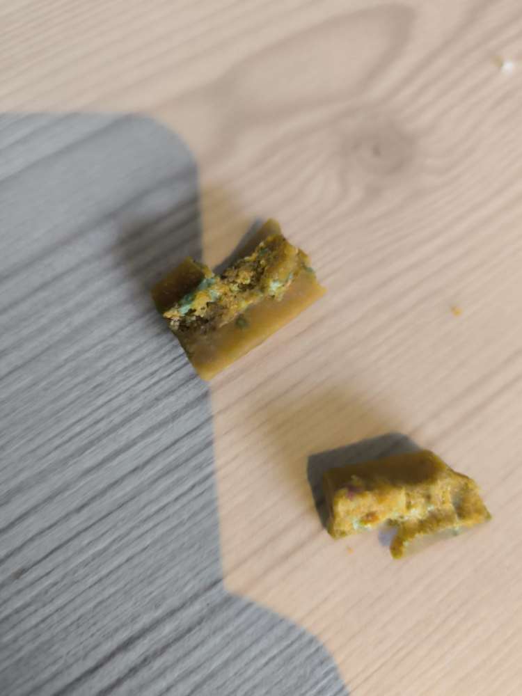 Giftköder-Giftköder!!!-Profilbild