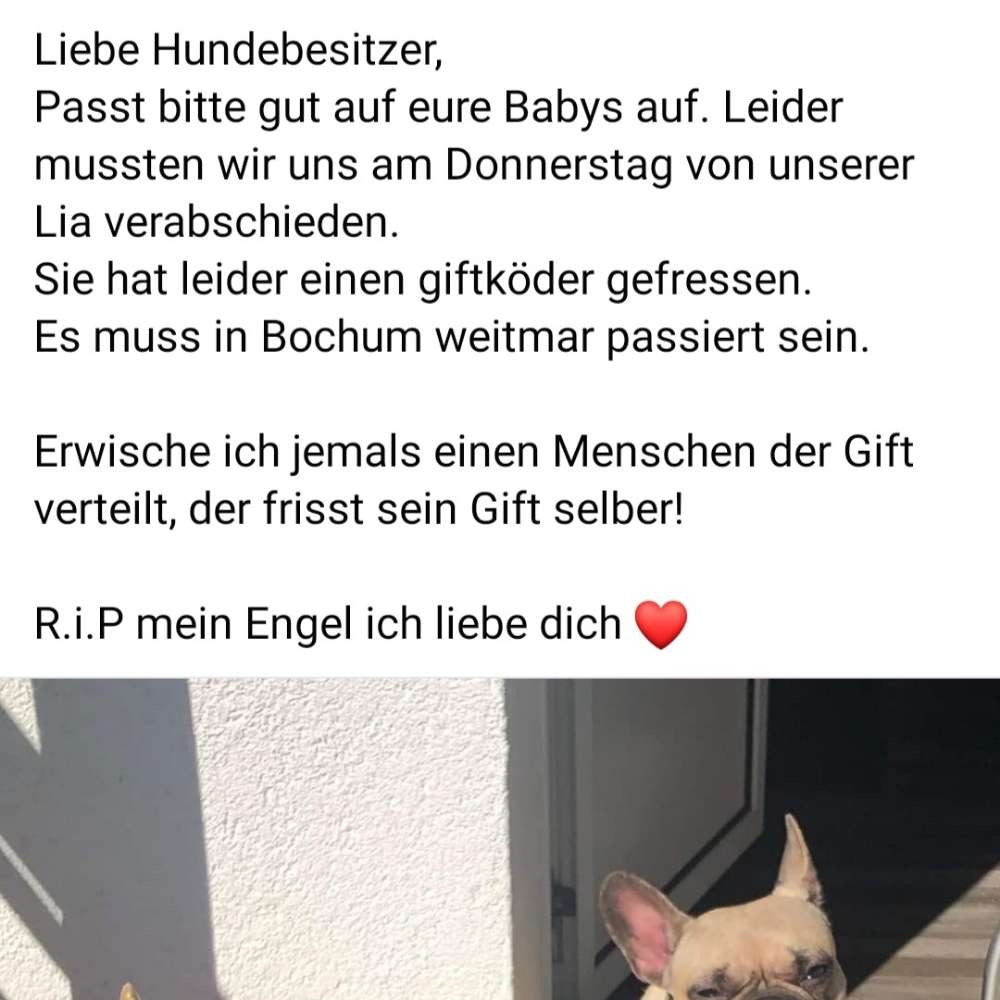 Giftköder-Giftköder in Bochum-Weitmar!-Profilbild
