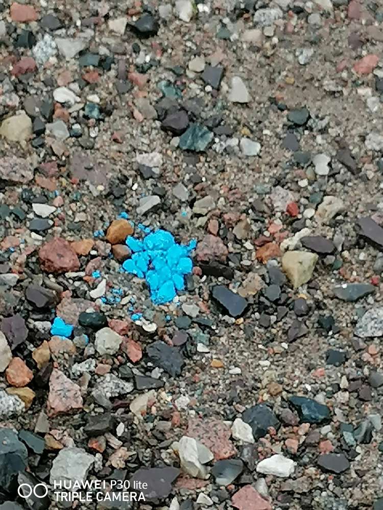 Giftköder-Blaukorn/Schneckenkorn-Profilbild