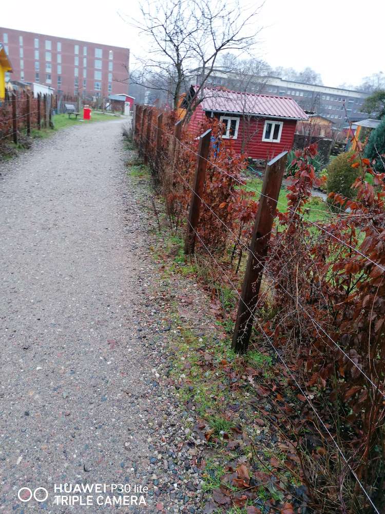 Giftköder-Gekochte Hühnerknochen-Profilbild