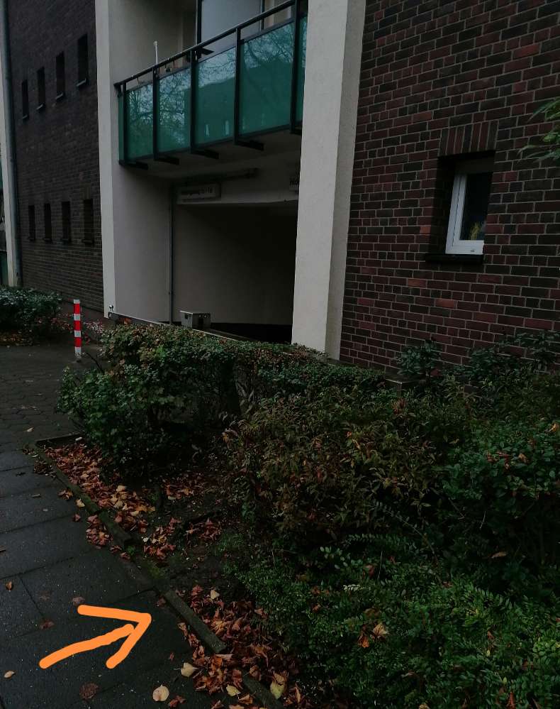 Giftköder-gekochte Knochen !-Profilbild