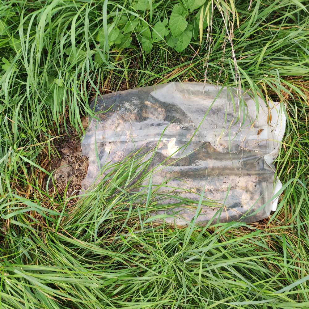 Giftköder-Schlachtabfälle in der Wiese-Profilbild