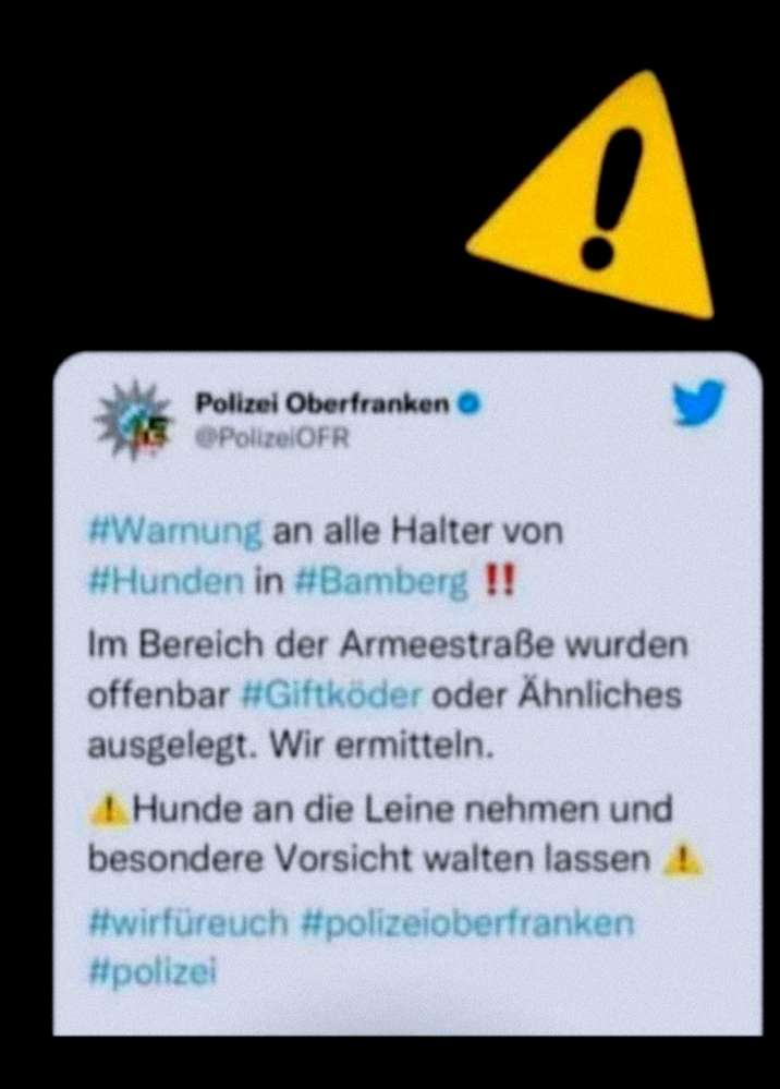 Giftköder-Giftköder-Profilbild