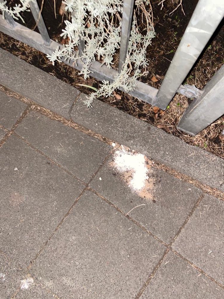 Giftköder-Weißes Pulver-Profilbild